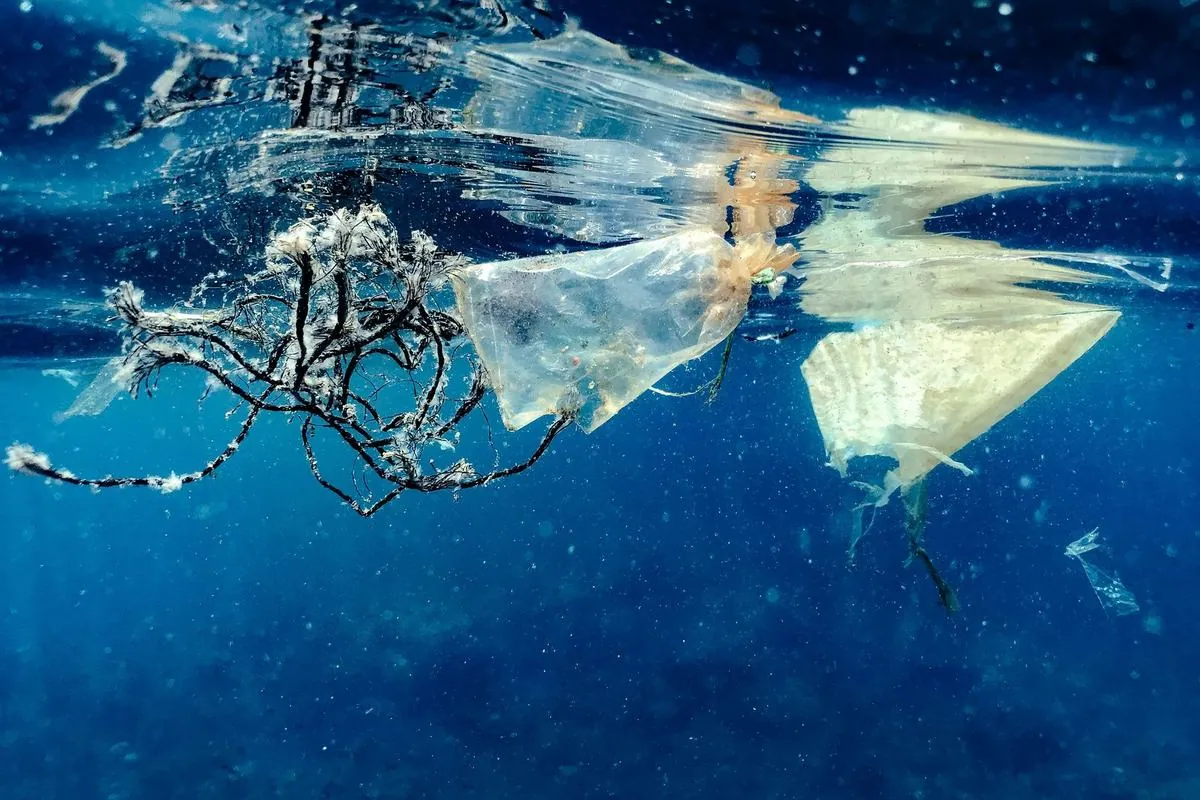 Water, Waste and Pollution