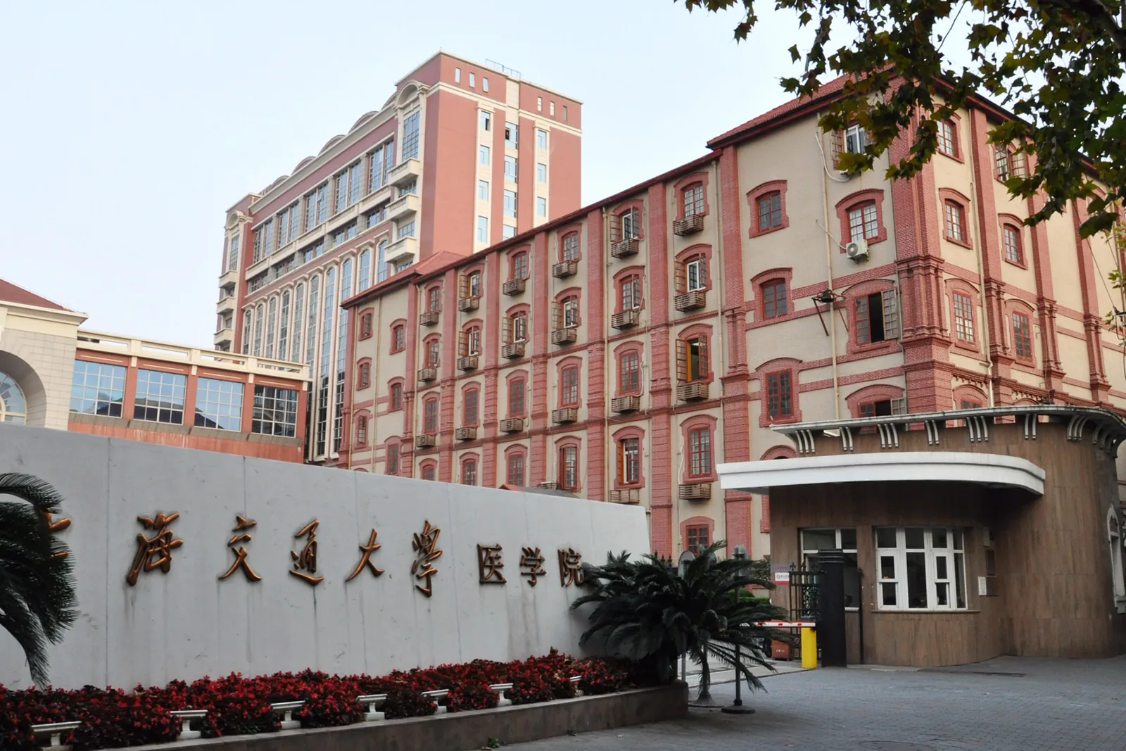 Shanghai JiaoTong University School of Medicine, Shanghai